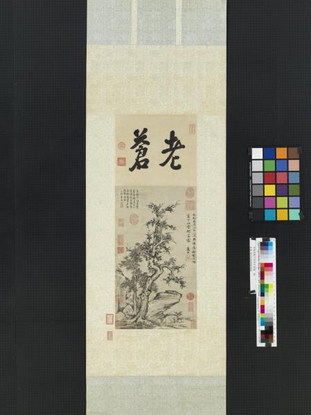 明姚綬樹石清高宗御題　軸