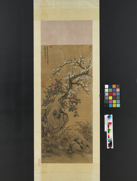 明邵寶梅花山茶　軸