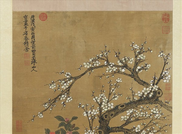 明邵寶梅花山茶　軸