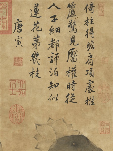 明唐寅芙蕖　軸