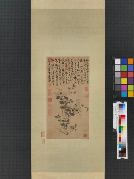 明陳淳茉莉　軸