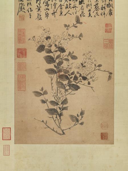 明陳淳茉莉　軸