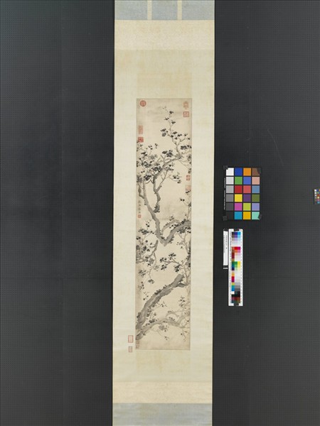 明陳栝畫花卉　軸