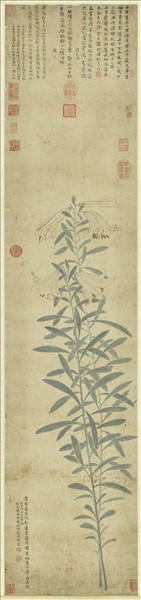 明錢穀百合寫生　軸