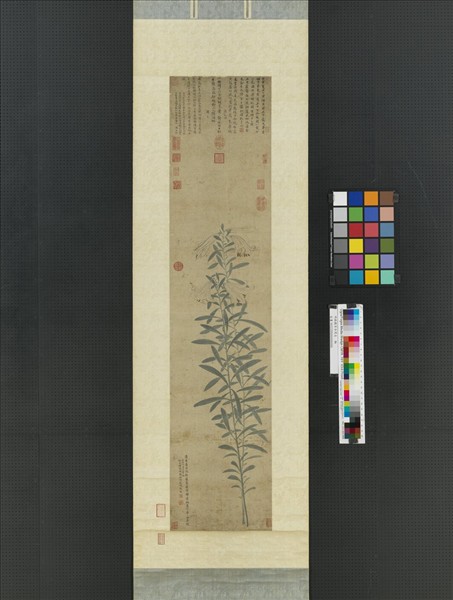 明錢穀百合寫生　軸