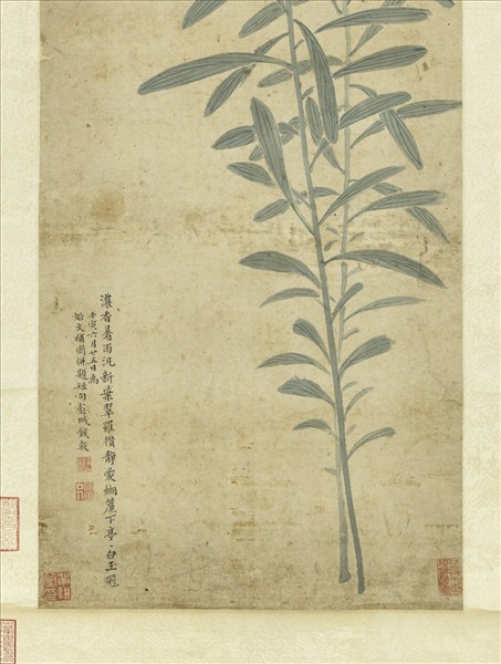 明錢穀百合寫生　軸