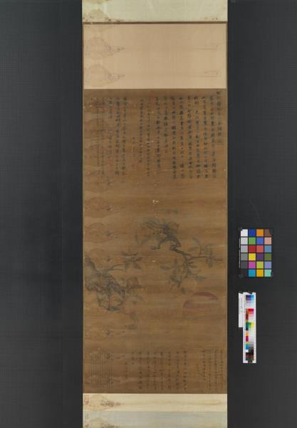 明徐霖初日蟠桃　軸