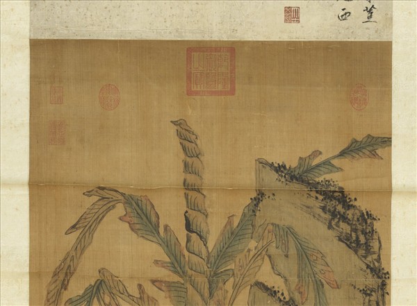 明姜隱文石甘蕉　軸