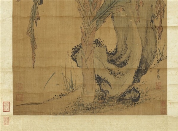 明姜隱文石甘蕉　軸