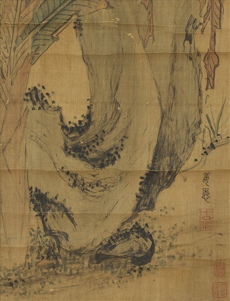 明姜隱文石甘蕉　軸