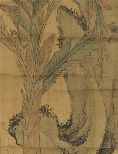 明姜隱文石甘蕉　軸