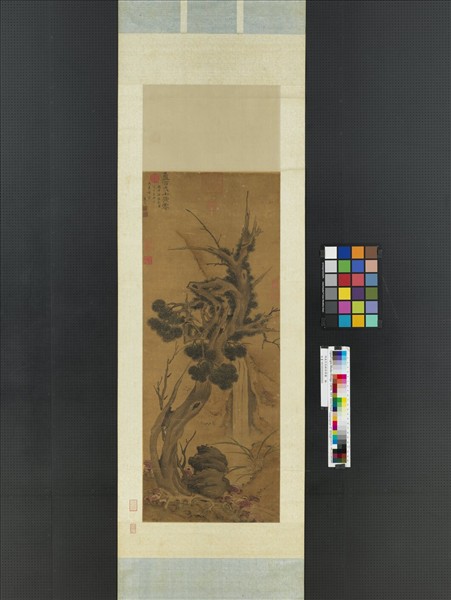 明朱竺百齡添算圖　軸