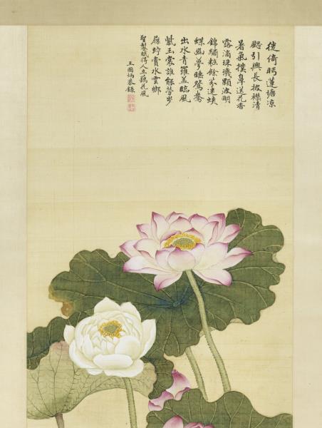 清王圖炳畫荷花　軸