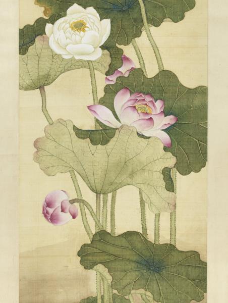 清王圖炳畫荷花　軸