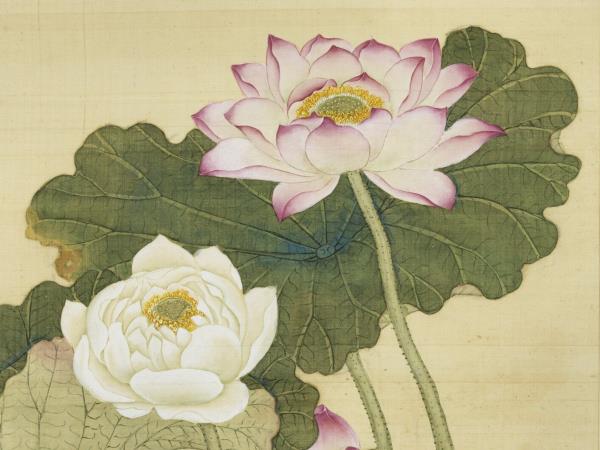 清王圖炳畫荷花　軸