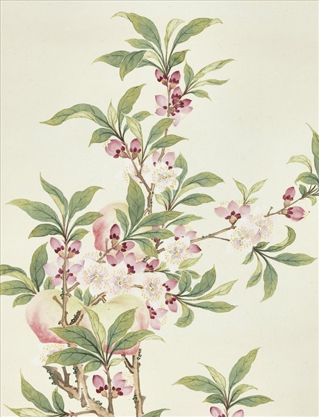 清董誥畫仙源瑞實　軸