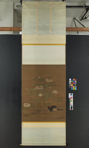 宋人富貴花狸　軸