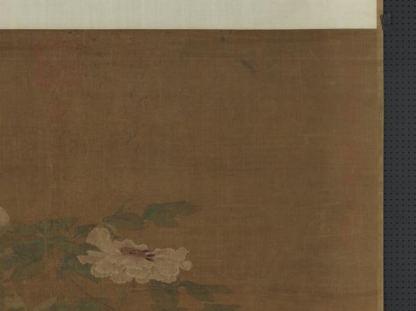 宋人富貴花狸　軸