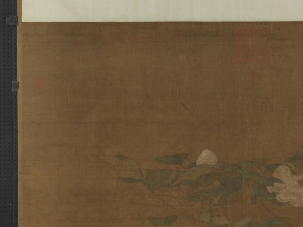 宋人富貴花狸　軸