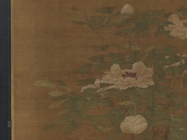 宋人富貴花狸　軸