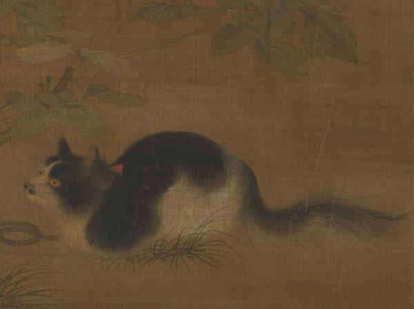 宋人富貴花狸　軸