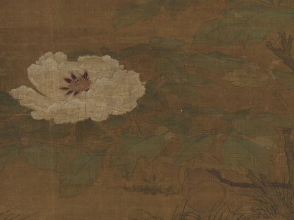 宋人富貴花狸　軸