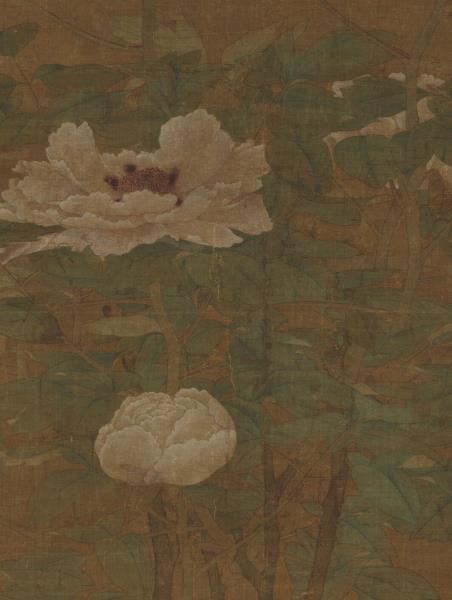 宋人富貴花狸　軸