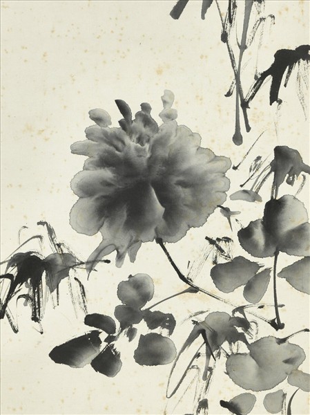 明徐渭畫牡丹　軸