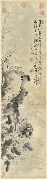 明徐渭牡丹　軸