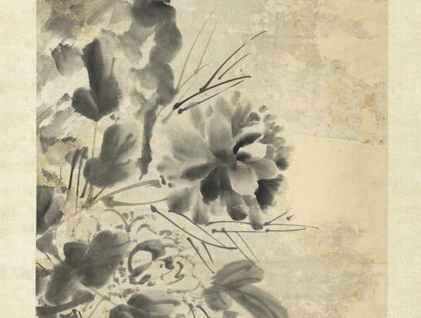 明徐渭牡丹　軸