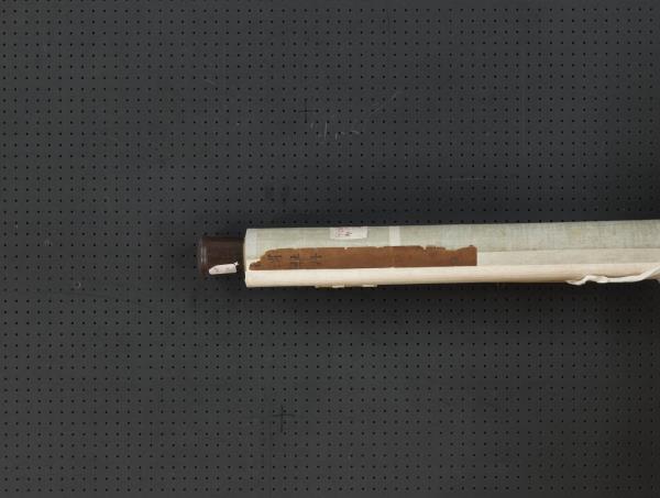 明徐渭牡丹　軸