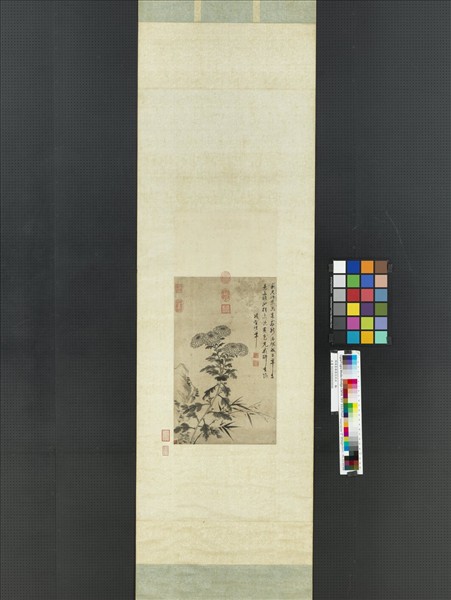 明項聖謨菊花竹石　軸