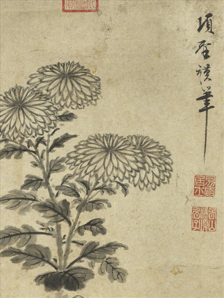 明項聖謨菊花竹石　軸