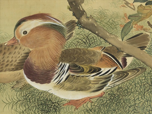 明人花下雙鴛圖　軸