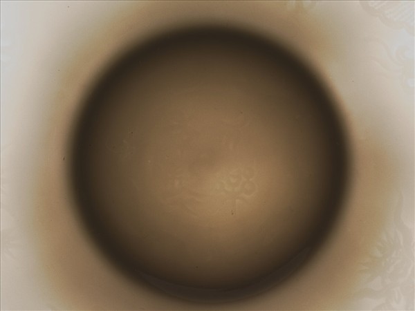 甜白釉五龍紋葵瓣口碗