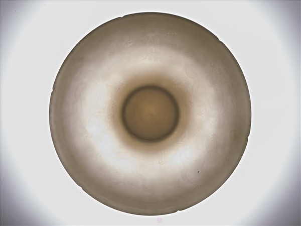 甜白釉五龍紋葵瓣口碗