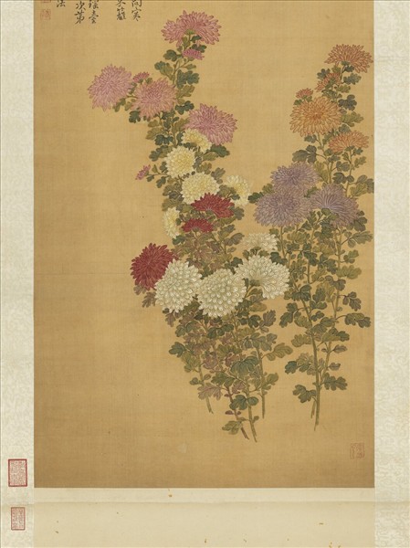 清惲壽平菊花　軸