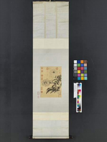 清蔣廷錫畫墨牡丹　軸