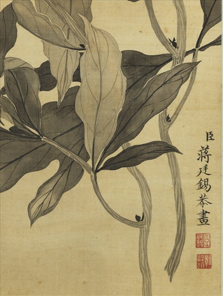 清蔣廷錫畫墨牡丹　軸