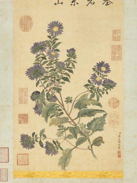 清蔣廷錫野菊　軸