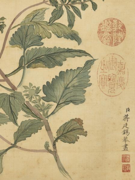 清蔣廷錫野菊　軸