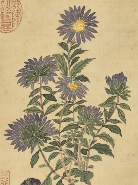 清蔣廷錫野菊　軸