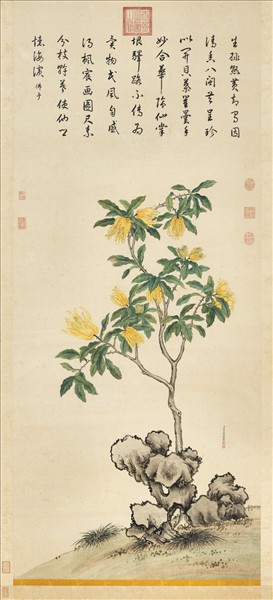 清蔣廷錫佛手寫生　軸