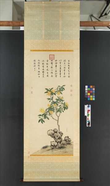 清蔣廷錫佛手寫生　軸