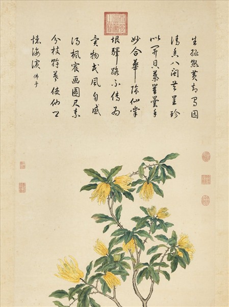 清蔣廷錫佛手寫生　軸