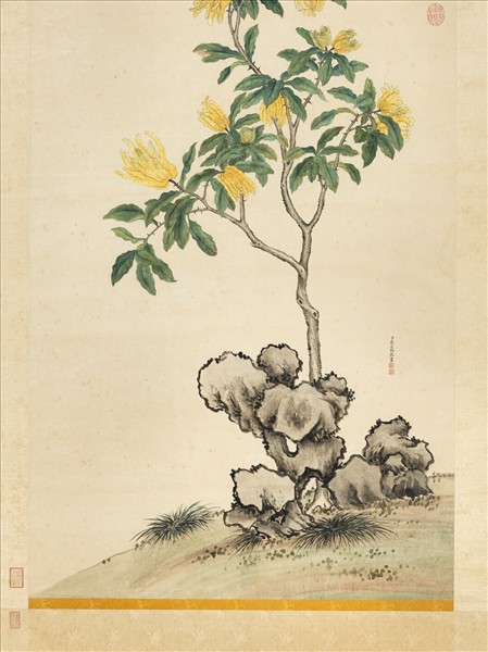 清蔣廷錫佛手寫生　軸