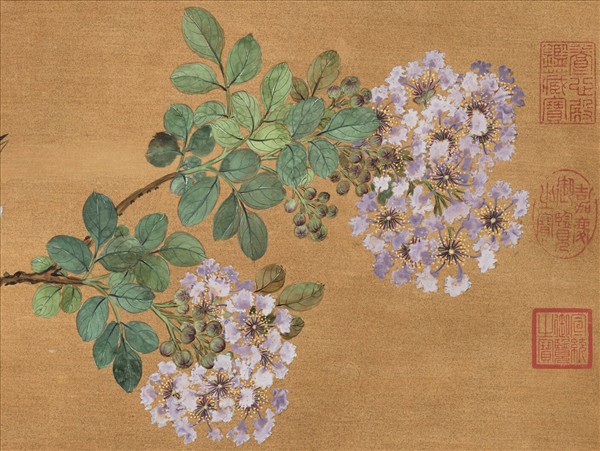 清蔣廷錫花鳥寫生　軸