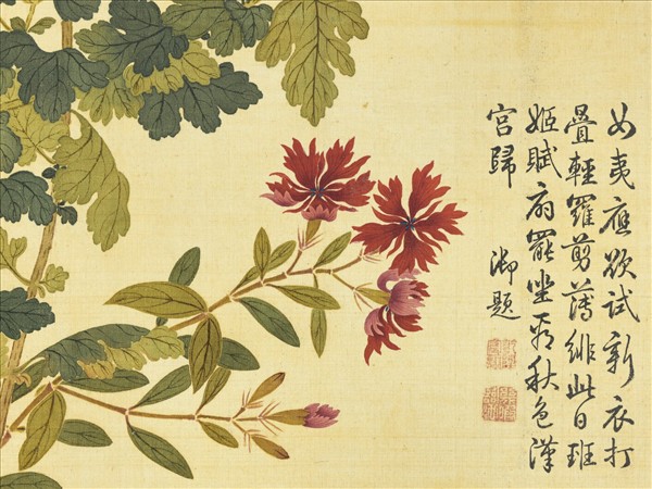 清鄒一桂畫霜菊秋羅　軸