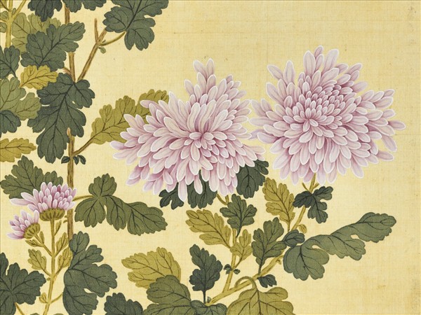 清鄒一桂畫霜菊秋羅　軸