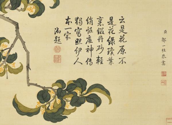 清鄒一桂畫芙蓉丹桂　軸